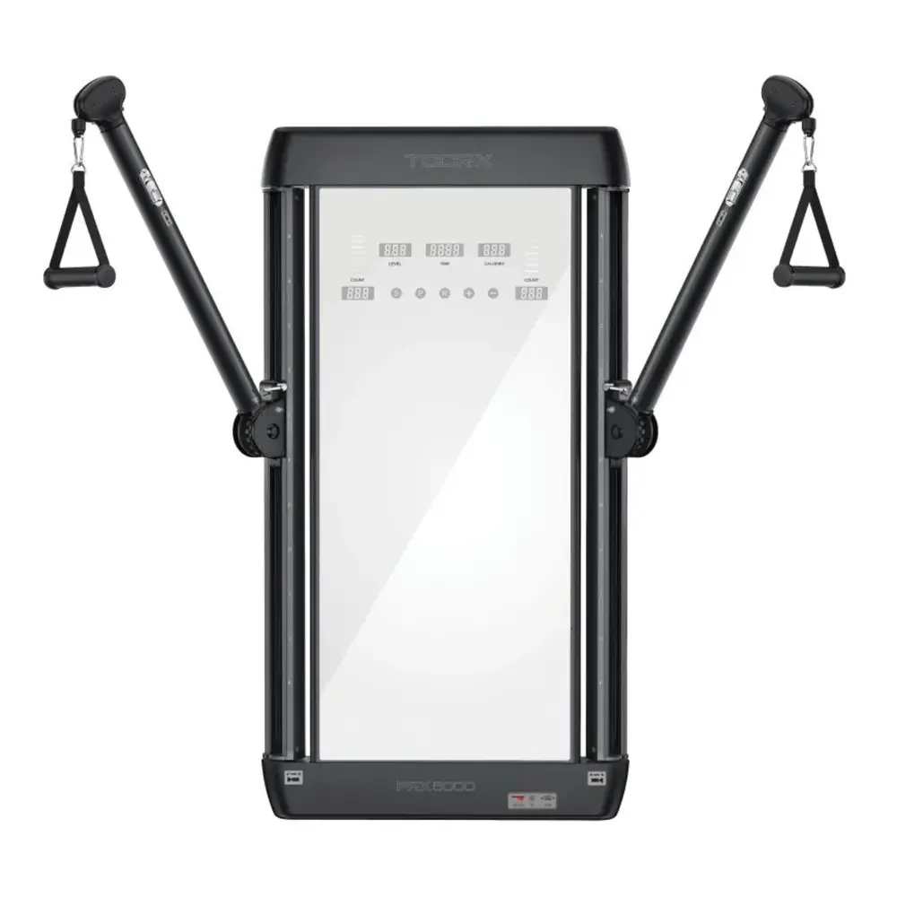 Toorx Professional PRX-5000 Dual Pulley - Wandmodel