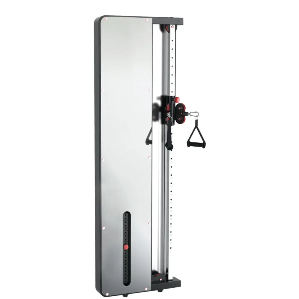 Toorx Fitness PRX-3000 Single Pulley - Wandmodel - 50 kg