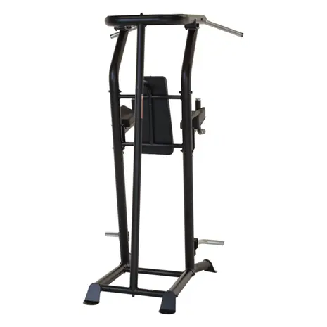 Inspire VKR - Vertical Knee Raise - Powertower