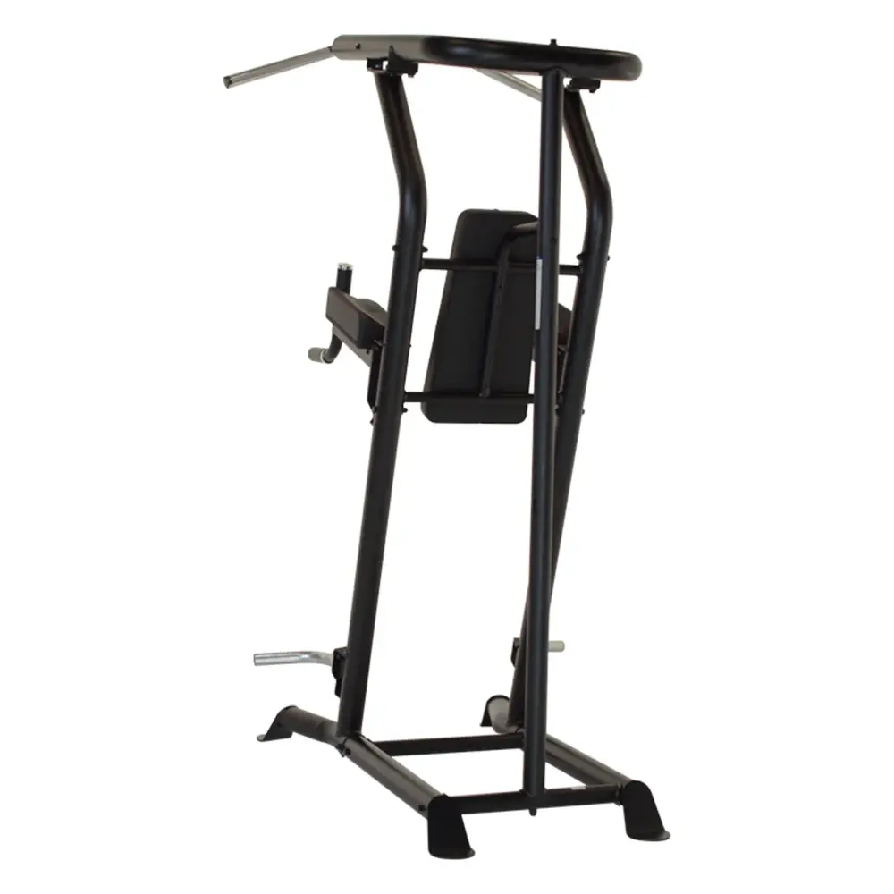 Inspire VKR - Vertical Knee Raise - Powertower