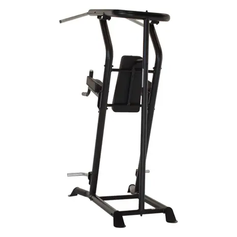 Inspire VKR - Vertical Knee Raise - Powertower