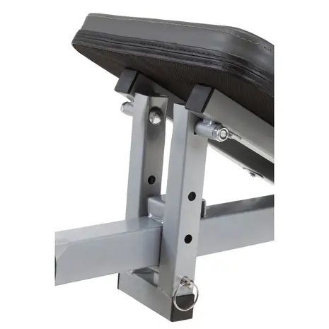 Everfit WBK-400 Inklapbare Buikspierplank en Trainingsbank