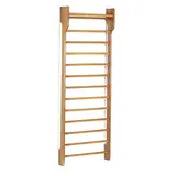 Toorx Fitness Single Wallbar - Wandrek 90 x 250 cm