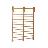 Toorx Fitness Dual Wallbar - Dubbel Wandrek - 180 x 250 cm