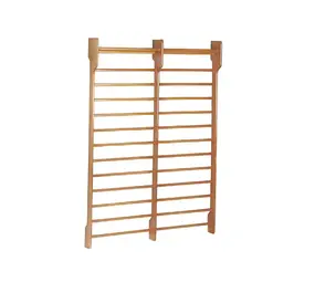Toorx Fitness Dual Wallbar - Dubbel Wandrek - 180 x 250 cm Toorx Fitness Dual Wallbar - Dubbel Wandrek - 180 x 250 cm