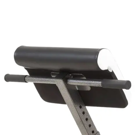 Toorx Fitness Multi Fit WBX-40 - Ab & Back Trainer