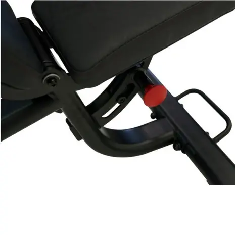 Inspire FID3.1PK Verstelbare Trainingsbank