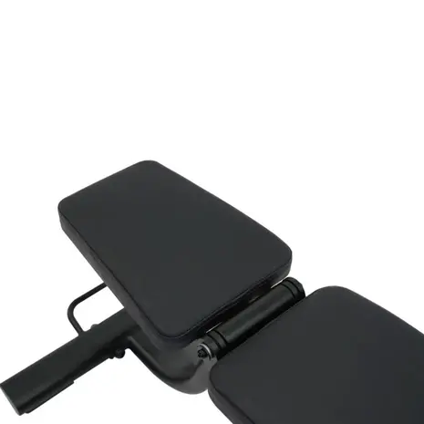 Inspire FID3.1PK Verstelbare Trainingsbank