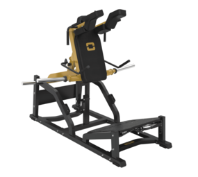Toorx Professional V Squat FWX 10000 Toorx Professional V Squat FWX 10000