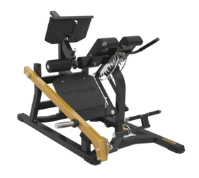Toorx Professional Dual Hyper Extension FWX 10500 Toorx Professional Dual Hyper Extension FWX 10500