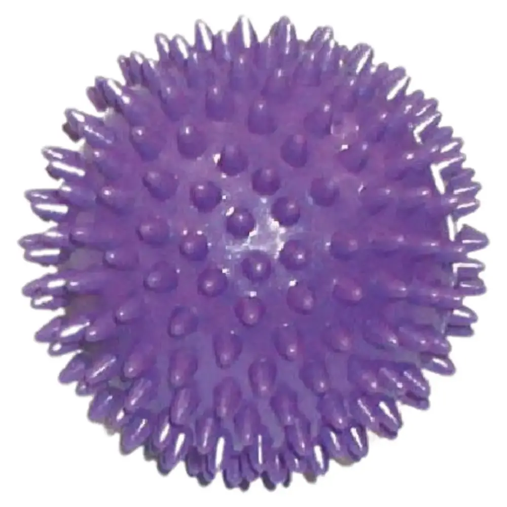 Toorx Fitness AHF-001 Massageballen 2 stuks – 7.5 & 9 cm Toorx Fitness AHF-001 Massageballen 2 stuks – 7.5 & 9 cm