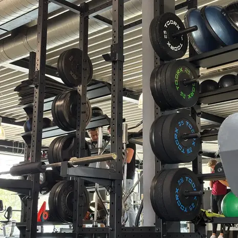 Toorx Professional DBCR-15 Crumb bumper halterschijf – 50 mm - 15 kg