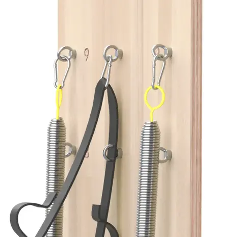 Liveness Spring Wall PTX2000 – Compacte oplossing voor totaaltraining