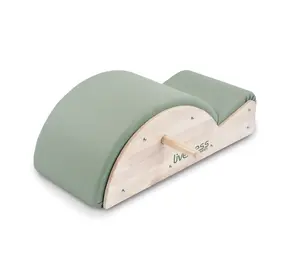 Liveness PTX1700 Spine Corrector Green Tea Liveness PTX1700 Spine Corrector Green Tea