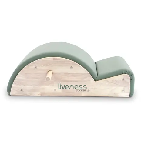 Liveness PTX1700 Spine Corrector Green Tea Liveness PTX1700 Spine Corrector Green Tea