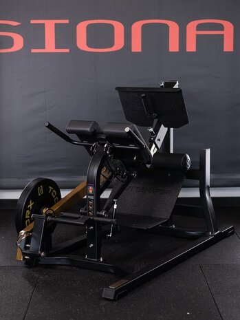 Toorx Professional Dual Hyper Extension FWX 10500 Toorx Professional Dual Hyper Extension FWX 10500