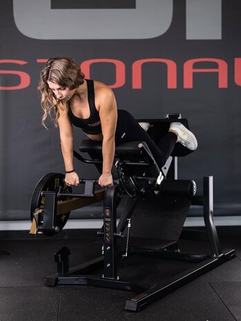 Toorx Professional Dual Hyper Extension FWX 10500 Toorx Professional Dual Hyper Extension FWX 10500