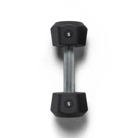 Centr x Hyrox Urethane Dumbbell 5KG Centr x Hyrox Urethane Dumbbell 5KG