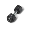 Centr x Hyrox Urethane Dumbbell 10KG Centr x Hyrox Urethane Dumbbell 10KG
