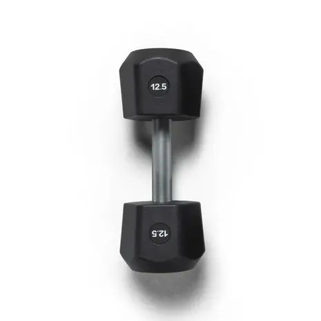 Centr x Hyrox Urethane Dumbbell 12.5KG Centr x Hyrox Urethane Dumbbell 12.5KG