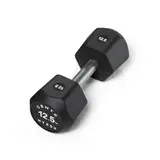 Centr x Hyrox Urethane Dumbbell 12.5KG