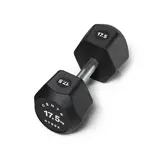 Centr x Hyrox Urethane Dumbbell 17.5KG