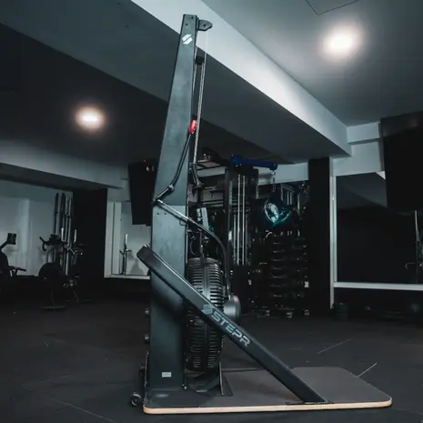STEPR SKI XL Commercial Ski Erg met VPR STEPR SKI XL Commercial Ski Erg met VPR