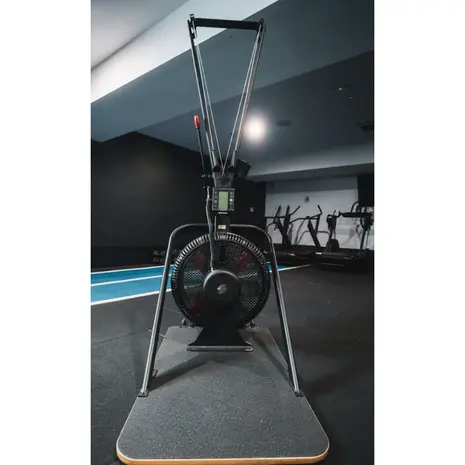 STEPR SKI XL Commercial Ski Erg met VPR STEPR SKI XL Commercial Ski Erg met VPR