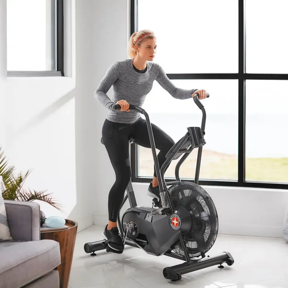 Schwinn Airdyne AD6i HIIT Airbike