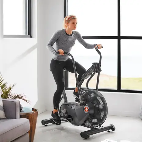 Schwinn Airdyne AD6i HIIT Airbike