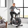 Schwinn Airdyne AD6i HIIT Airbike