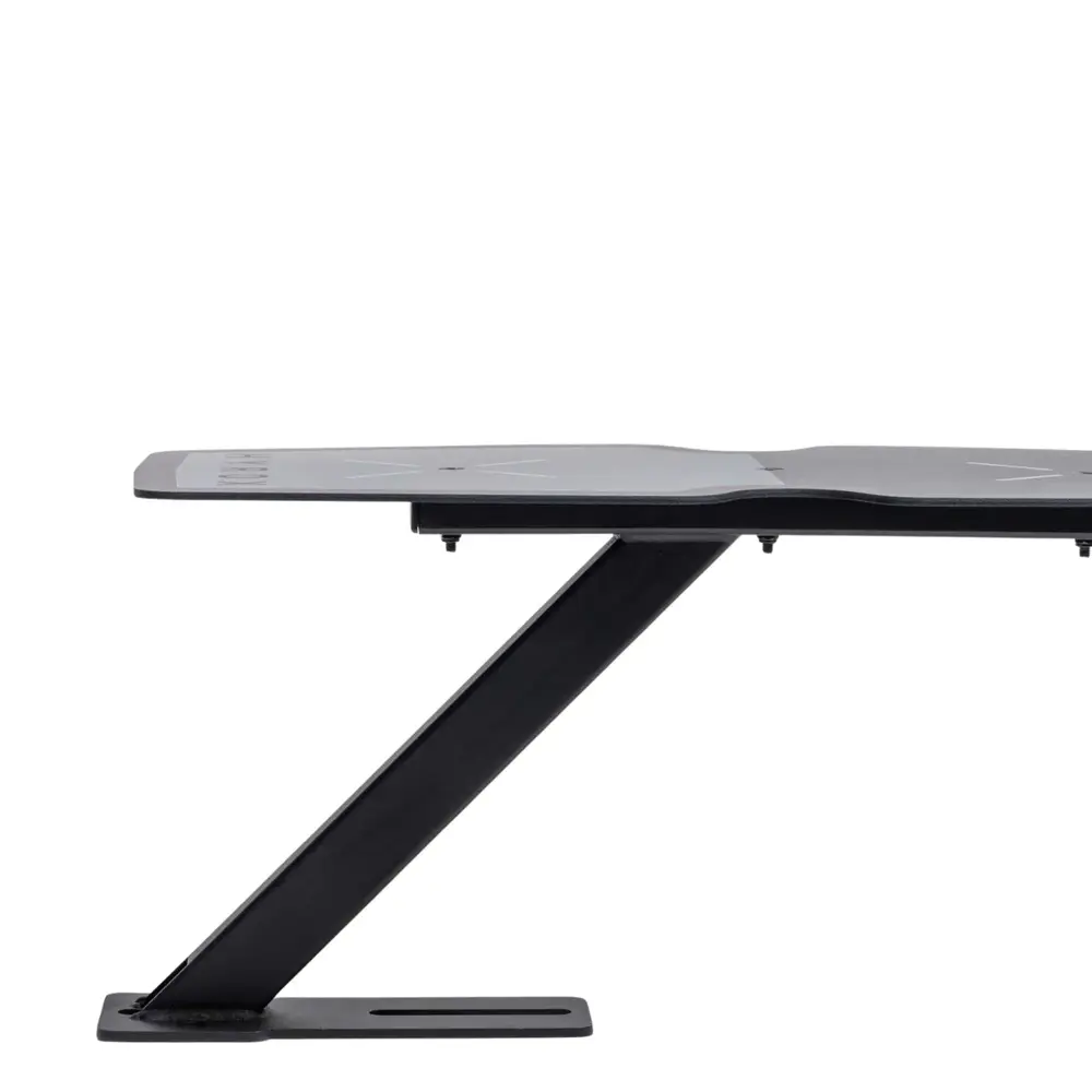 Centr x Hyrox Competition Rig Target