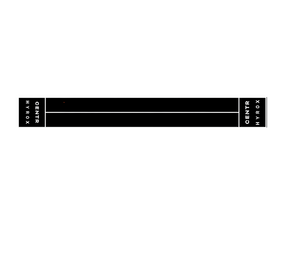 Centr x Hyrox Perform Turf - 2 Lanes met End Zones met Logo