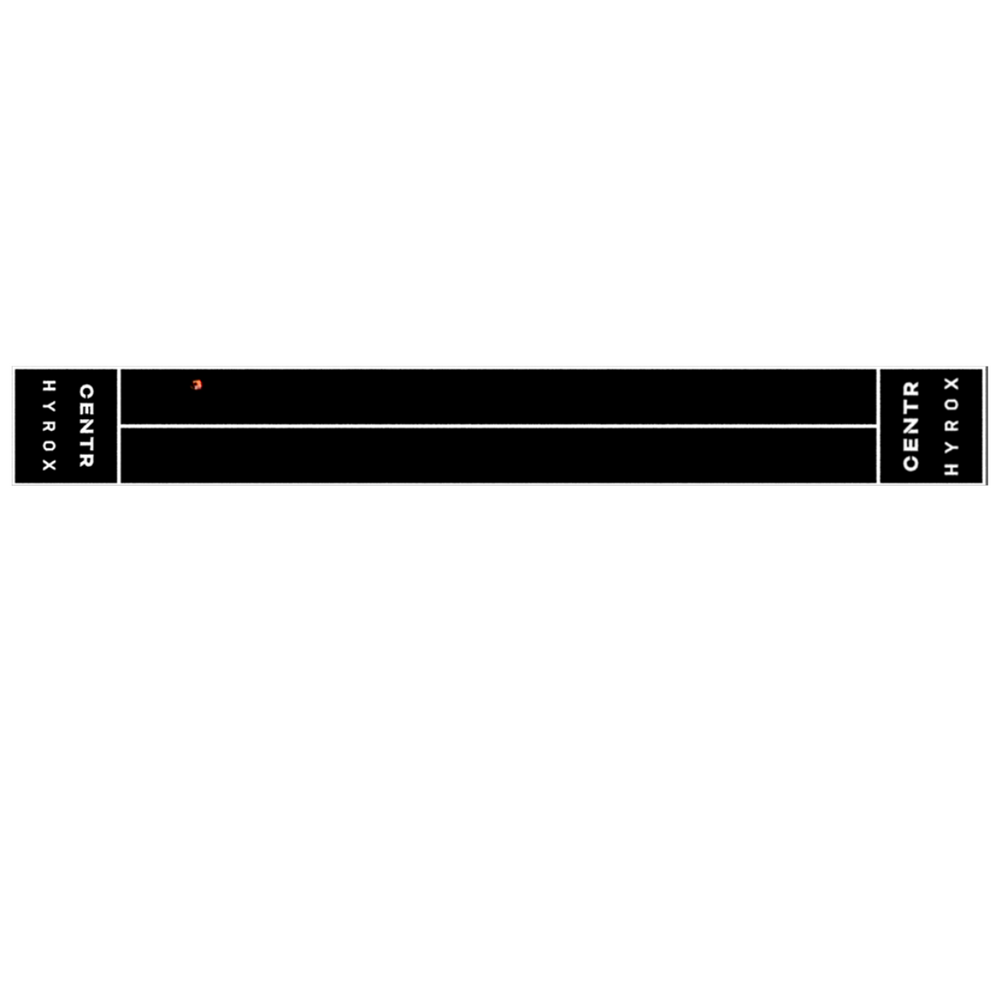 Centr x Hyrox Perform Turf - 2 Lanes met End Zones met Logo