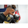 RDX Sports L2 Mark Pro Sparring Bokshandschoenen met klittenbandsluiting RDX Sports L2 Mark Pro Sparring Bokshandschoenen met klittenbandsluiting