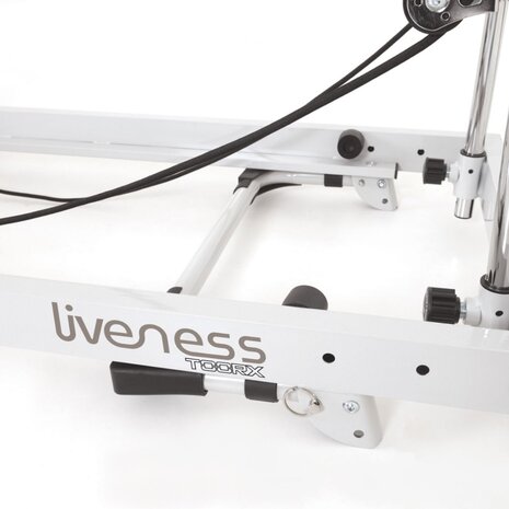 Liveness PTX 300 Stalen Reformer Maan & Zand Liveness PTX 300 Stalen Reformer Maan & Zand