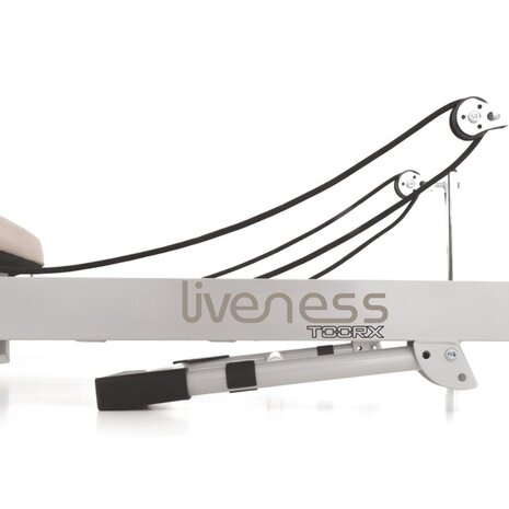 Liveness PTX 200 Stalen Reformer Maan & Zand Liveness PTX 200 Stalen Reformer Maan & Zand