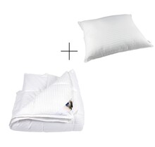 Liv 4 - seizoenen dekbed 140x200 + kussen 60x70