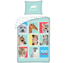Animal Planet Dekbedovertrek Cute - Eenpersoons - 140 x 200 + 70 x 90 cm - Katoen