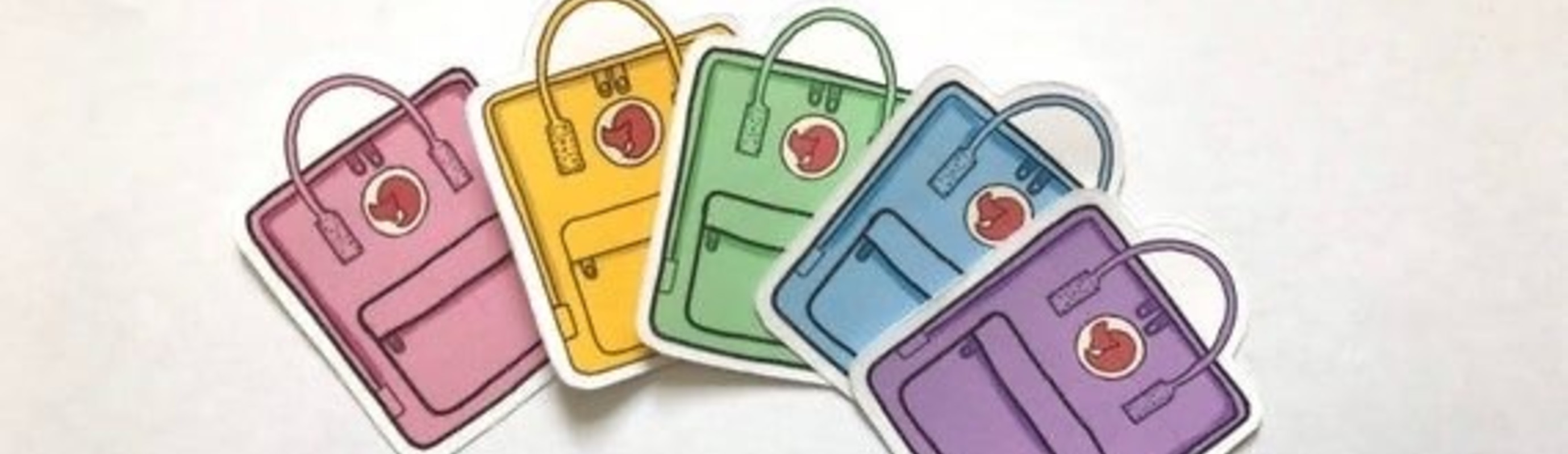 Bag to school