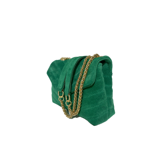 Celine Suede Groen