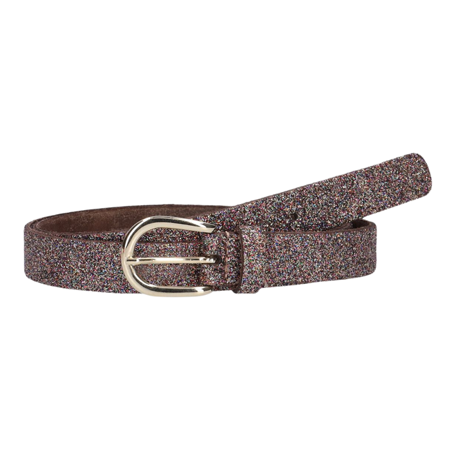 Dames Riem Glitter Multicolor