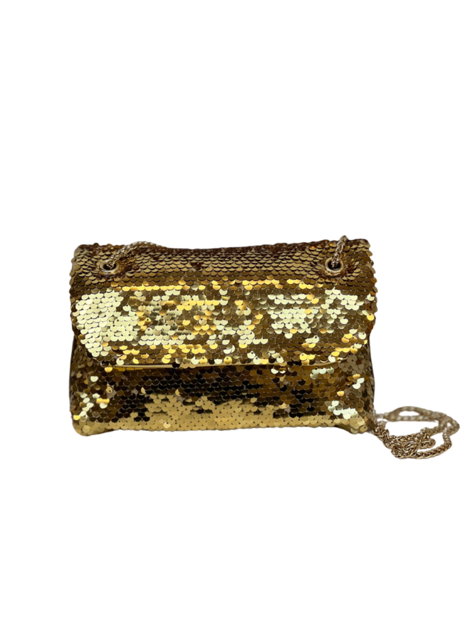 Sequins Dream Goud