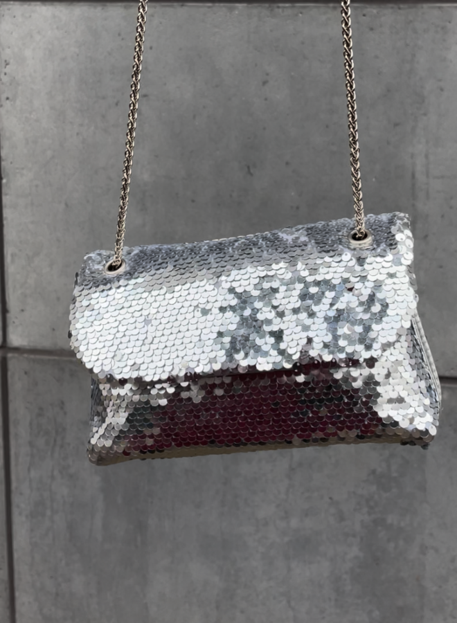 Sequins Dream Zilver