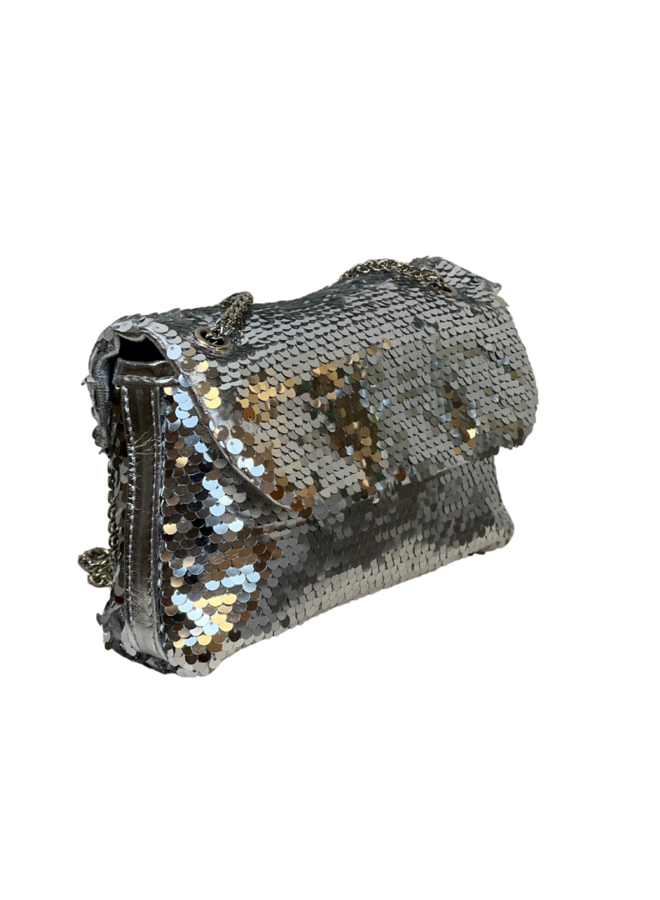 Sequins Dream Zilver