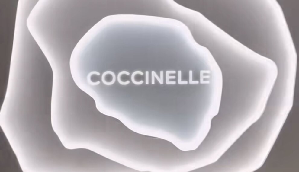 Coccinelle; een stukje italiaanse mode als sieraad om je arm