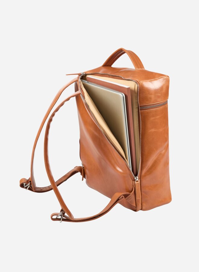 Alpha Travel Rugzak Bruin