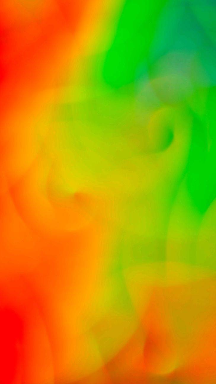 SHOP TIJDENS CARNAVAL MET 11% KORTING OP DE HELE COLLECTIE