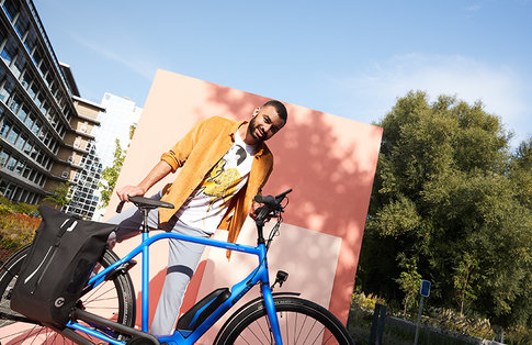 Elektrische Herenfiets