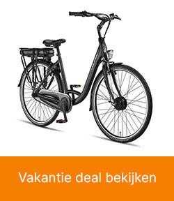 goedkope elektrische fietsen online